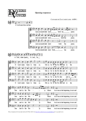 Opening responses (Zachariis)