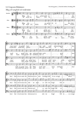 Mag ich Unglück nicht widerstahn