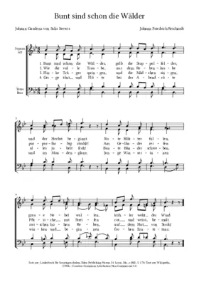 Bunt sind schon die Wälder