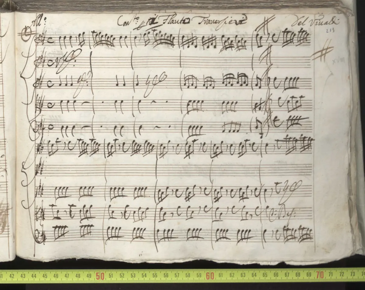 Flute Concerto in D major - Page 1
