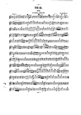 Piano Trio in G major