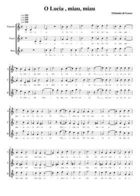 O Lucia miau miau