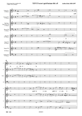 Peccavi quid faciam tibi a 8