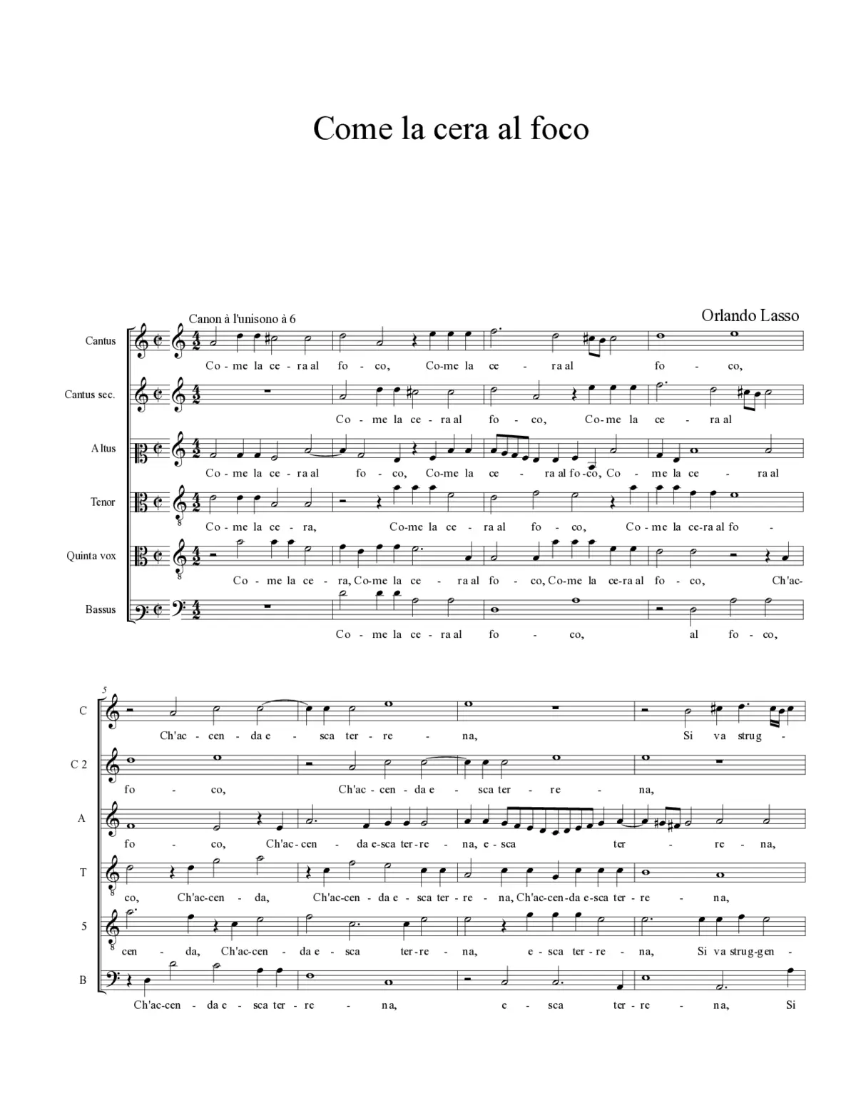 Come la cera al foco - Page 1