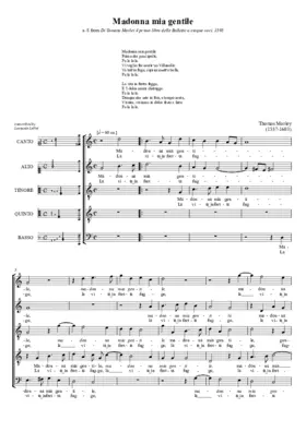 Madonna mia gentile