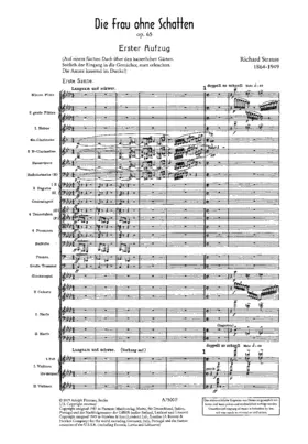 Die Frau ohne Schatten
