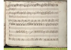 Concerto for 2 Mandolins