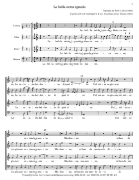 La bella netta ignuda