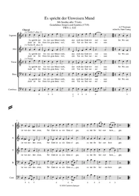 Es spricht der Unweisen Mund