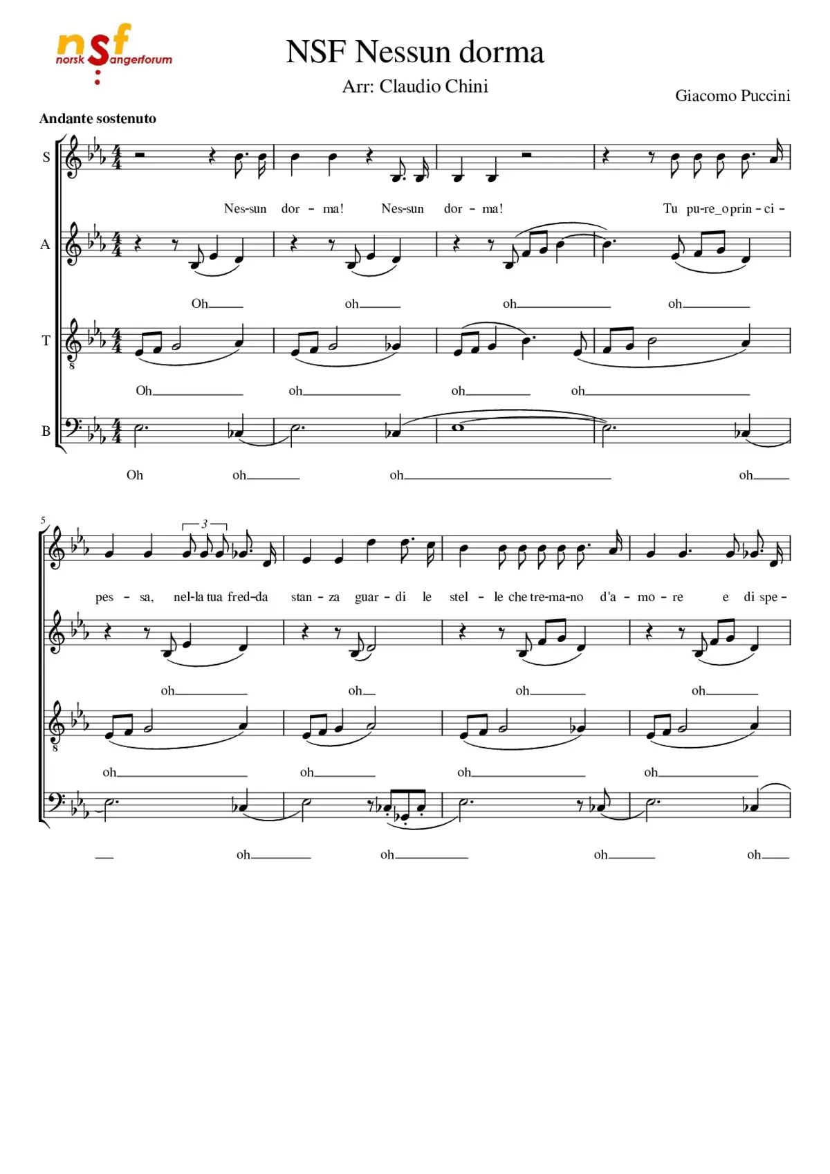 Turandot SC 91 - Page 1