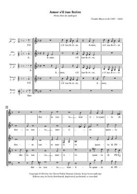 Amor, s'il tuo ferire