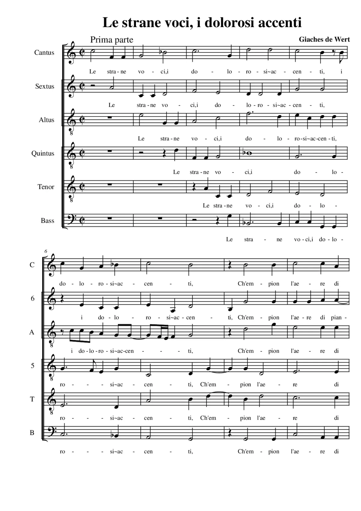 Le strane voci, i dolorosi accenti - Page 1