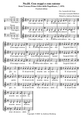 Con ceppi e con catene