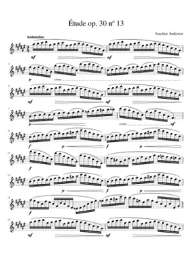 24 Etudes for Flute Op.30