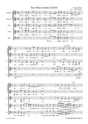 See what a maze of error