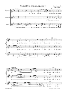 Cantantibus organis, op. 66/24