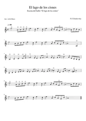 El lago de los cisnes