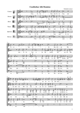 Confitebor tibi Domine a 6