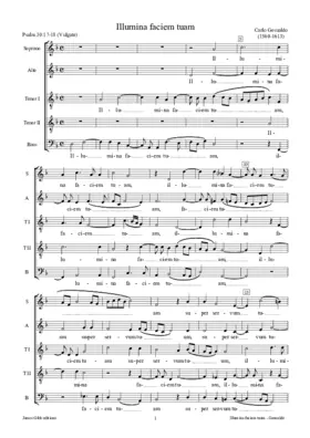 Illumina faciem tuam