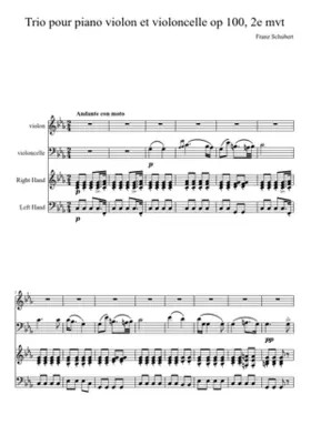 Piano Trio in E-flat major D.929