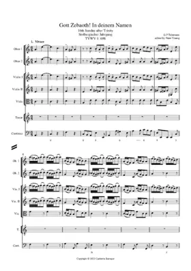 Gott Zebaoth! In deinem Namen, TWV 1:698