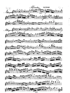 Quintuor pour la flûte, violon, deux altos et violoncelle