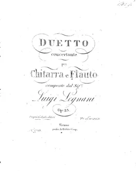 Duetto concertante per chitarre e flauto
