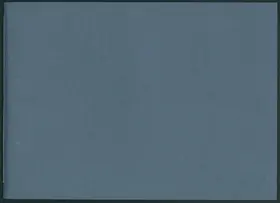 In turbato mare irato