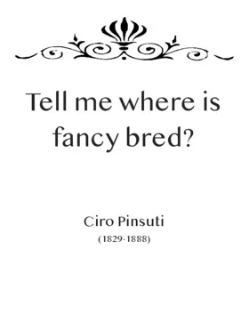 Tell me where is fancy bred?