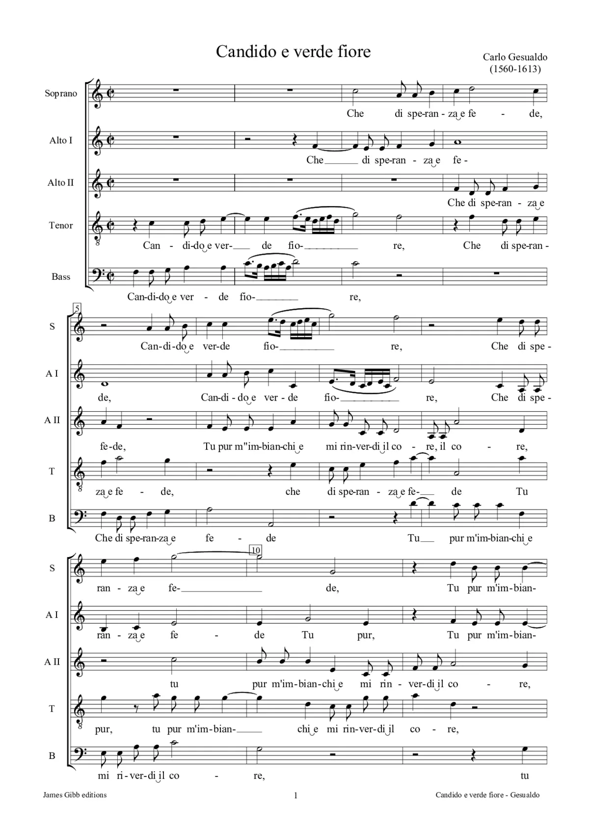 Candido e verde fiore - Page 1