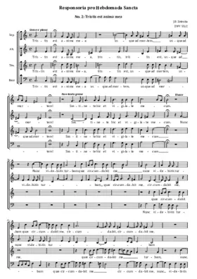 Tristis est anima mea, ZWV 55:02
