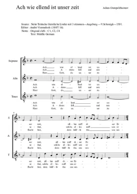 Ach wie ellend ist unser zeit