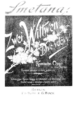 The Two Widows