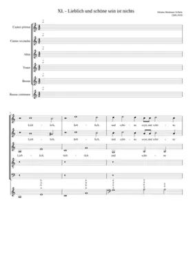 Lieblich und schöne sein ist nichts