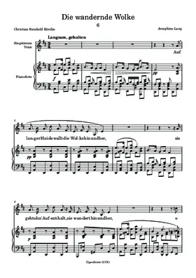 Die wandernde Wolke