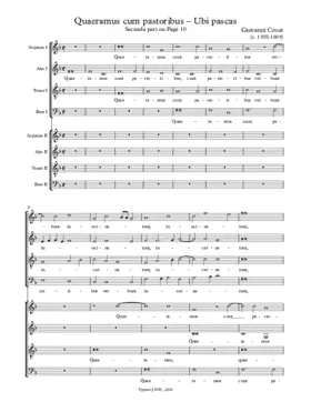 Quaeramus cum pastoribus