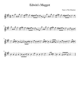 Edwin's Maggot