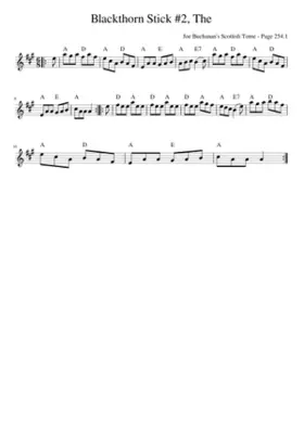 The Blackthorn Stick