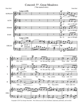 Concord: 5. Great Meadows