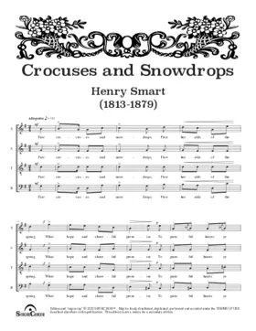 Crocuses and snowdrops