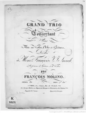 Grand Trio concertant pour Flûte ou Violon, Alto et Guitare