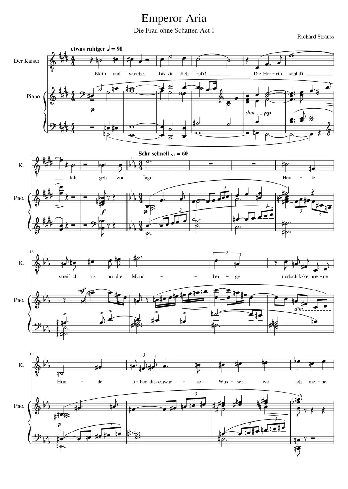 Die Frau ohne Schatten Op.65 - Page 1