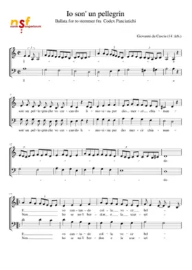 Io son' un pellegrin
