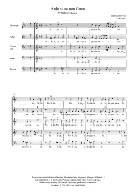 Ardo, sì, ma non t'amo