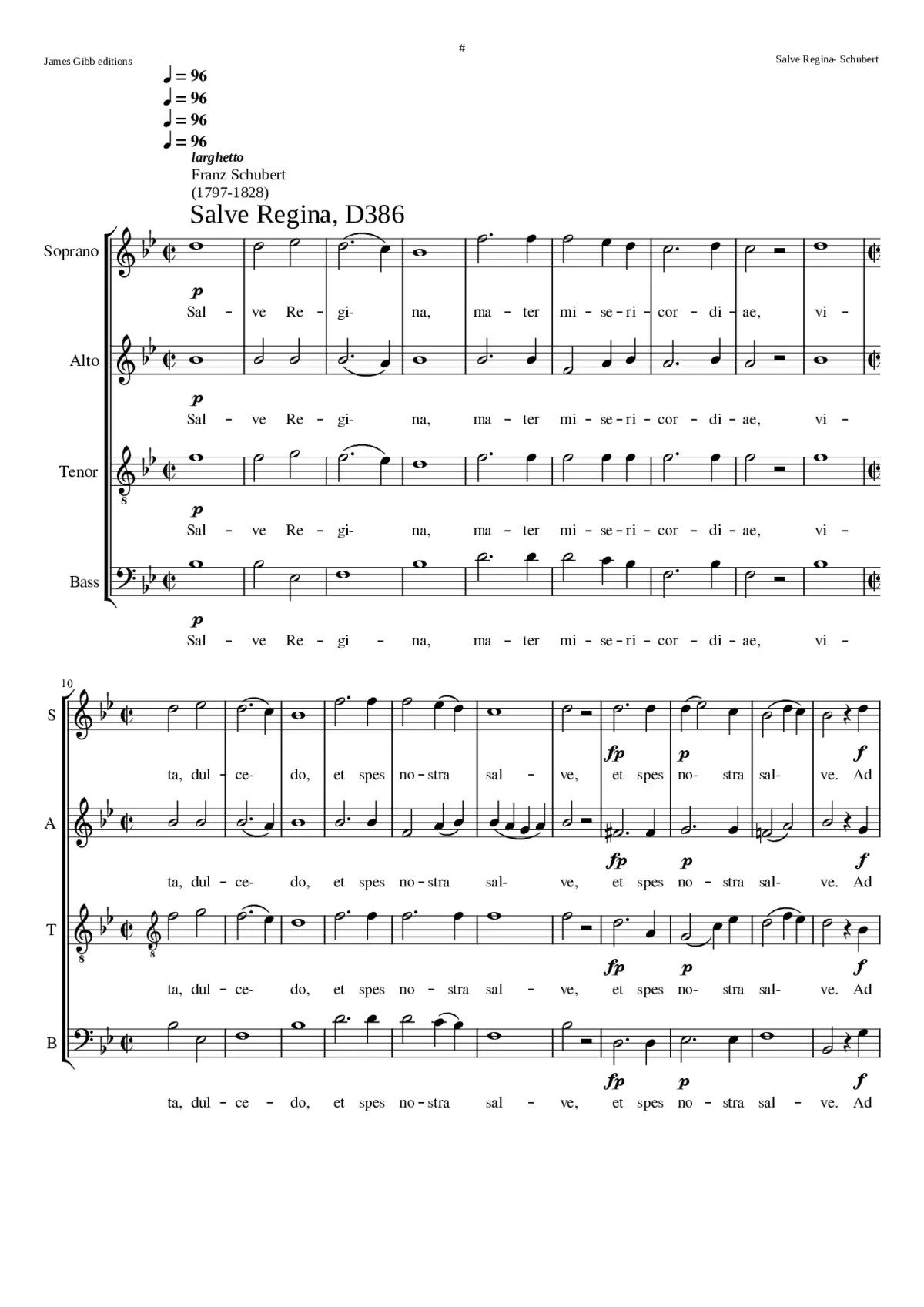 Salve Regina D. 386 (one of several settings) - Page 1