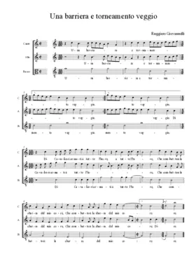 Una barriera e torneamento veggio