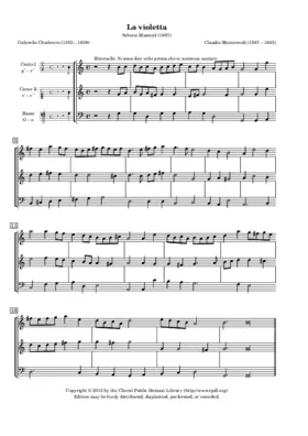 La violetta
