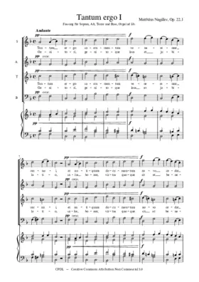 Tantum ergo, Op. 22,1