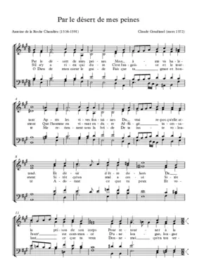 Par le désert de mes peines