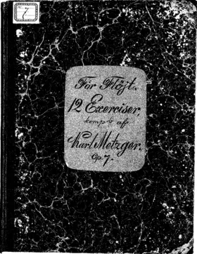 12 études ou exercices pour la flûte